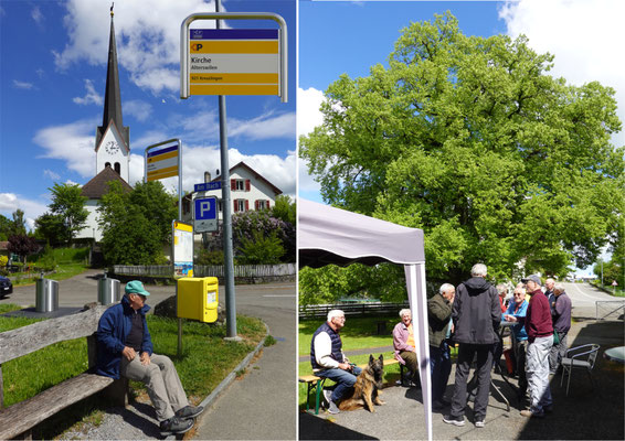Rido / Beim Lindenbaum
