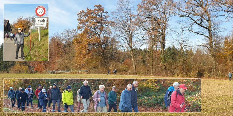 Herbstfarben