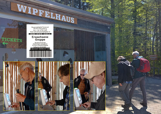 Wipfelhaus: Zutritt Baumwipfelpfad