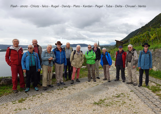 Die Langwanderer vor Ligerz