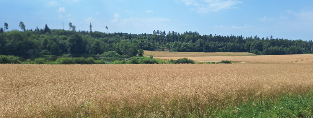 Morgetshof Weiher