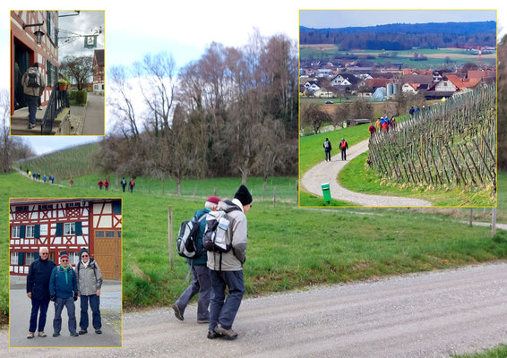 Ziel Hirschen Oberstammheim