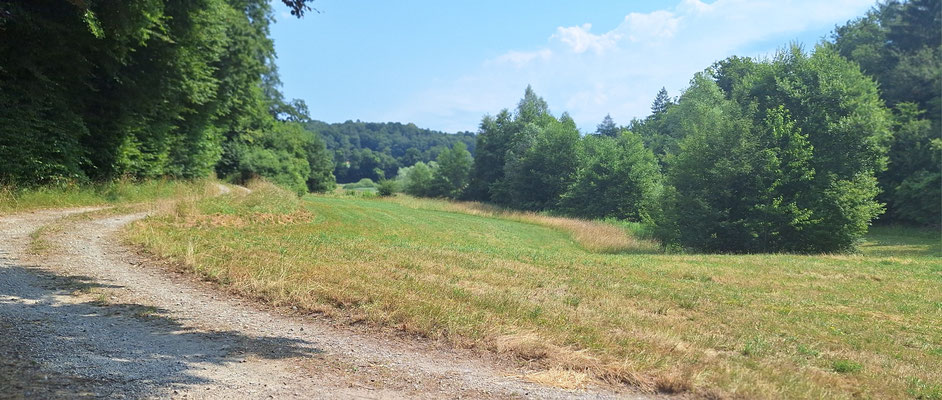 Pfaffenwisen