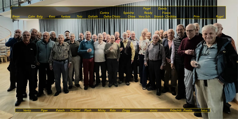 Gruppenbild mit Dame: Corona, Vera Schraner