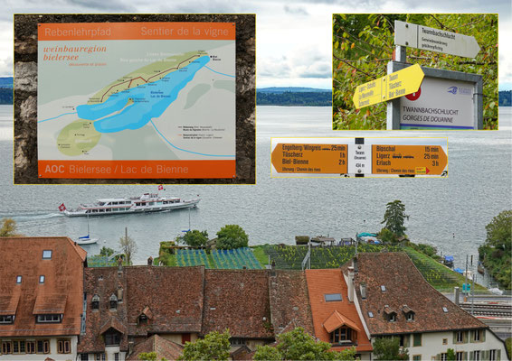 Twann, Panorama Bielersee