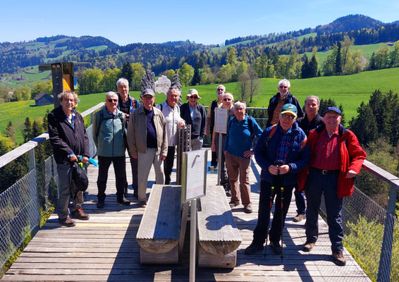 Baumwipfelkenner