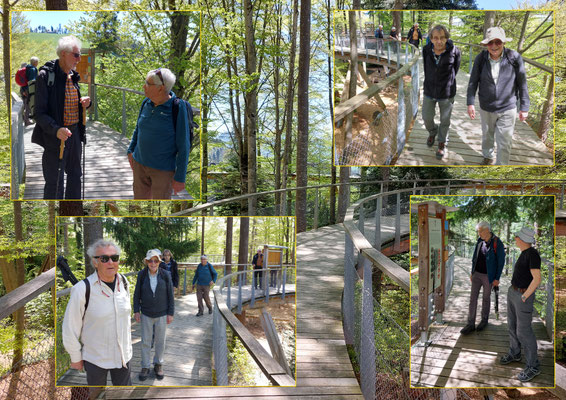 Unterwegs auf Höhe Baumwipfel