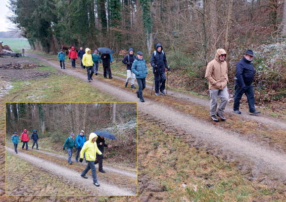 In lockerer Zweierkolonne
