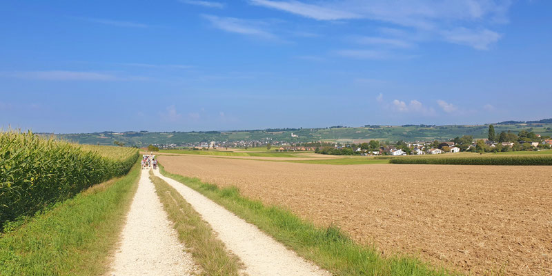 Banners Klettgau