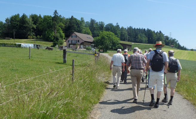 Apéroplatz in Sicht