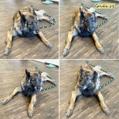 Die richtige Samantha