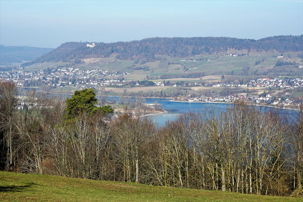 Panorama Hohenklingen