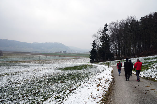 Fernsicht Stein am Rhein