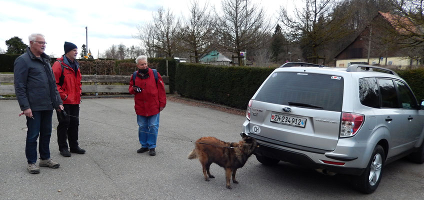 Contra, Chlapf, Patsch, Samantha & unser Transport zu Contra