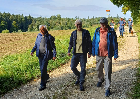 Fiasco, tito, Rugel