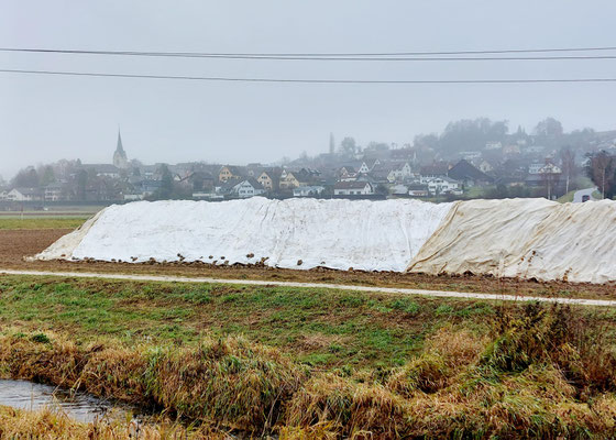 Runggle unter Vlies --> Zuckermühle Frauenfeld geschlossen