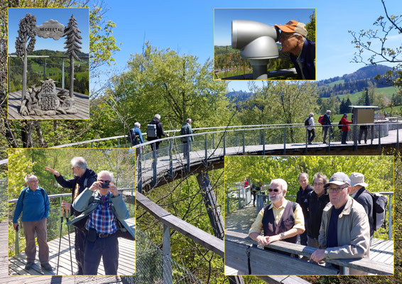 Baumwipfelpfad Rundgang