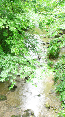 Elefantenbach