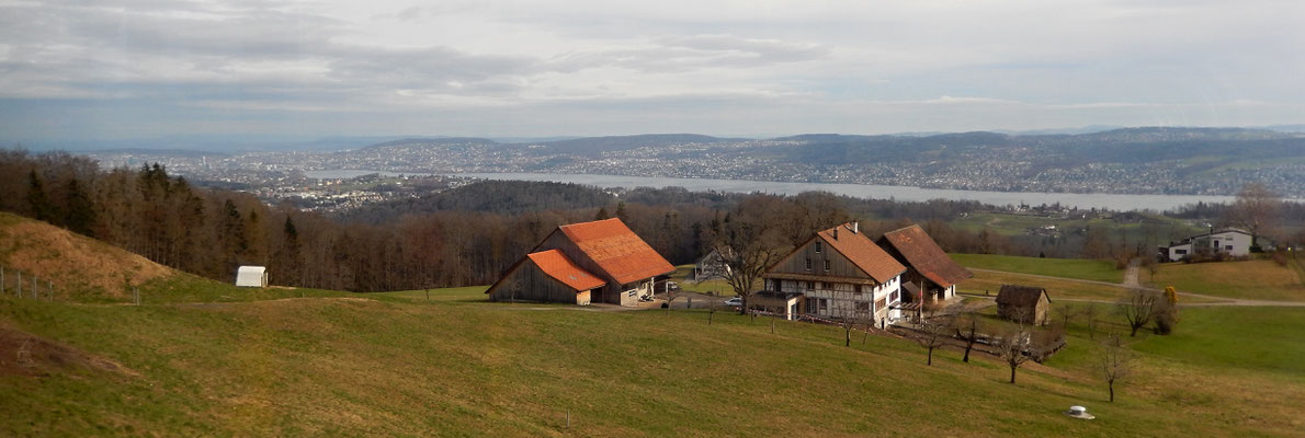 Sicht aus dem Bus auf Zürich mit See