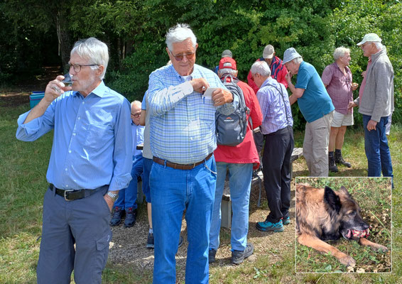 Glenn, Esso - Zugreifer - falco, Contra - Samantha