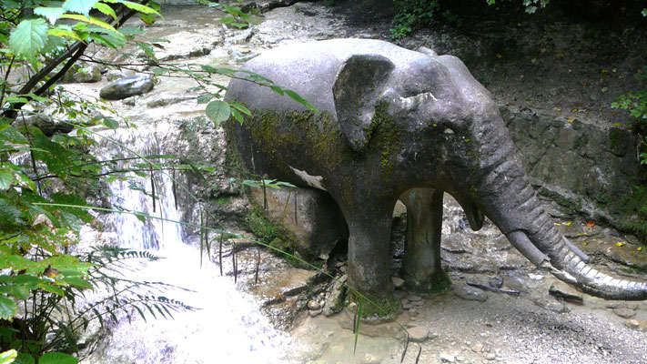 Elefant