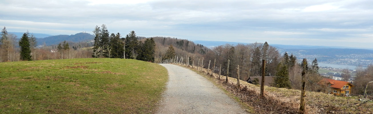 Unser Ziel: Der Üetliberg