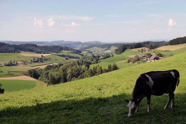 Emmentaler Hügel