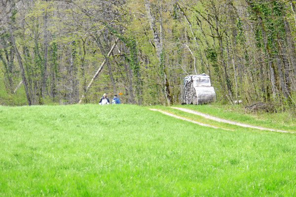 Die zwei Letzten: GladM, PanM