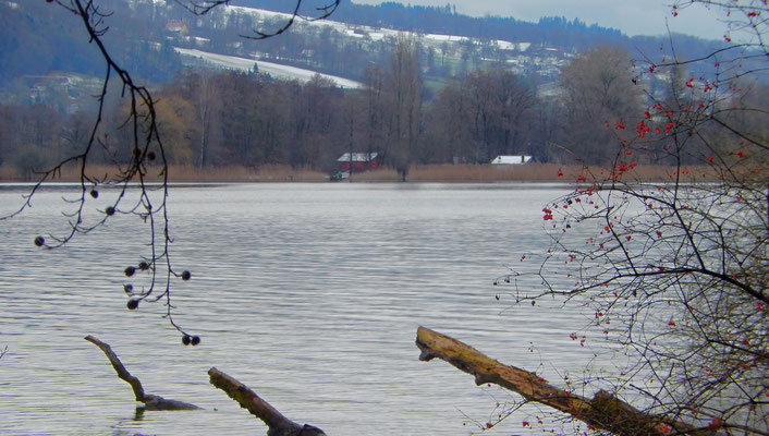Ziel in Sicht - Tardo's Villa am See (rechts)