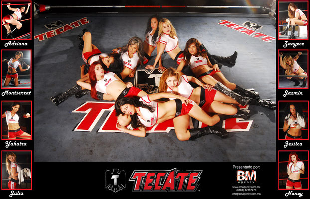 TECATE BOX TEAM