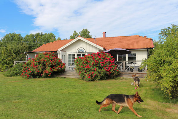 Schönes Haus und toller Garten. Unser Ferienhaus bei Västervik.