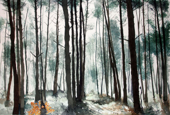 Dans la forêt des landes 1 60x41cm