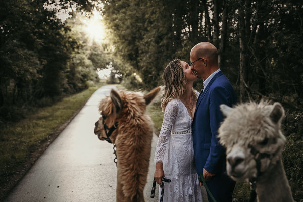 Hochzeit Norddeutschland Alpakas Hochzeitsfotograf