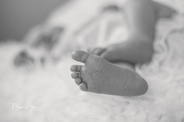 Newborn Newbornshooting Norddeutschland