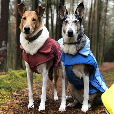 Holly & Cleo