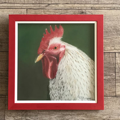 poule coq volaille pastel dessin réalisation creation encadrement cadre profondeur espace oeuvre réalisation passion marie louise baguette rouge crete poulailler