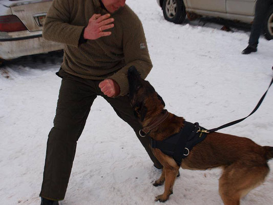 Hidden sleeve k9 sales