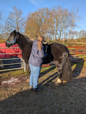 Ali Baba Lilienhof Welsch