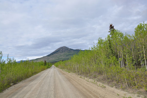 auf der Aishihik Lake Road