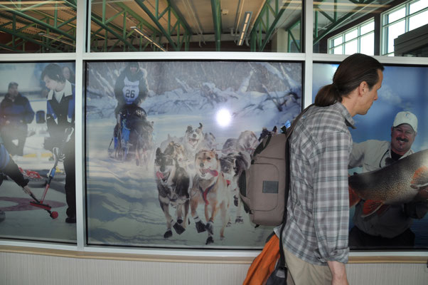angekommen in Whitehorse