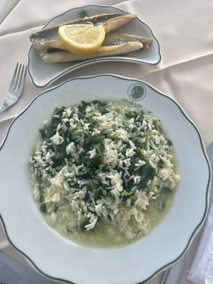 mein Abendessen