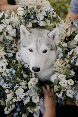 Ros Arum_mariage champêtre blanc et bleu_gros plan chien et bouquets_fleuriste mariage rumilly