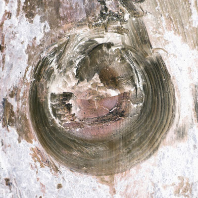 triage-tree-2-3877, Fotografie/DigitalArt, 2021, Format variabel, max. 40 x 40 cm