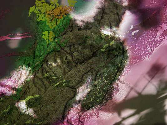 Die verwandelte Daphne (2) -  Fotografie, Zeichnung, DigitalArt, 2012, Maße ca. 75 x 100 cm