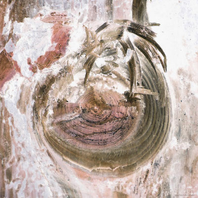 triage-tree-2-3885, Fotografie/DigitalArt, 2021, Format variabel, max. 40 x 40 cm