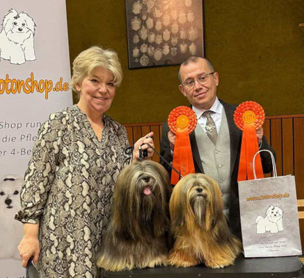 BOB und BOS Lhasa Apso