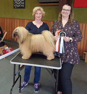 Rü Champion Klasse BOS
