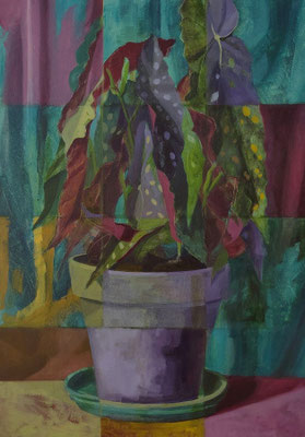 Transfiguration