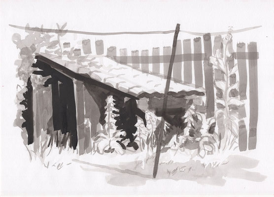 Selatuinen 2, Ink on A4 paper, 45 euro