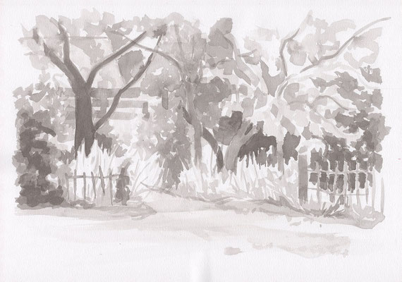 Selatuinen 4, Ink on A4 paper, 45 euro